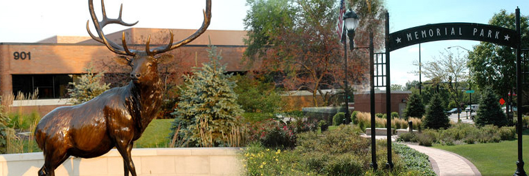 Movers Elk Grove Village Movers Elk Grove Village