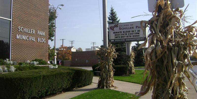 Schiller Park IL Movers Schiller Park IL Movers