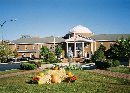 Addison Moving Company