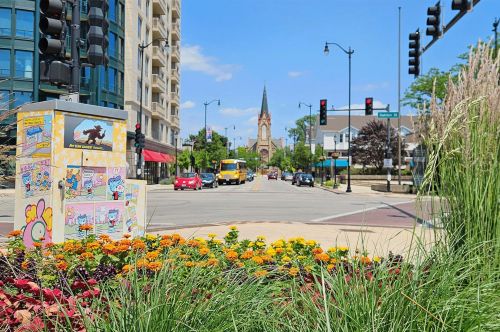 Skokie, IL King David Moving 